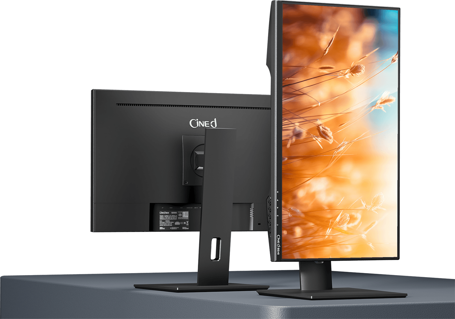 Walton monitor - CINEXA-WD238I11